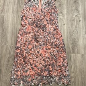 T Tahari peach with gray and white lace
